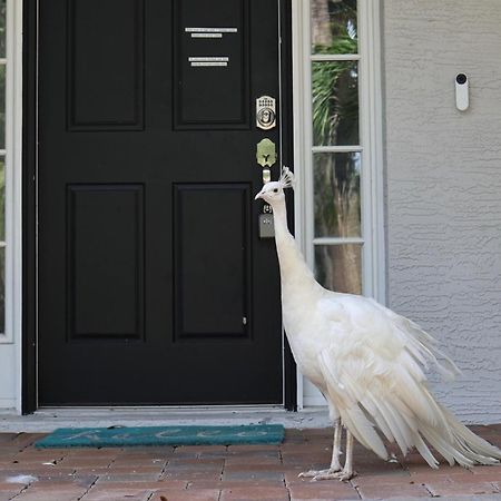 Key West Style-Livin' Villa Sarasota Bagian luar foto